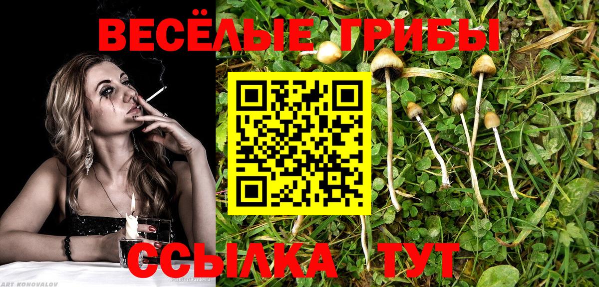 Копейск  Галлюциногенные грибы Psilocybine cubensis  Вход с VPN 